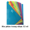 Hình ảnh bìa phân trang nhựa 12 số
