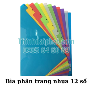 Bìa Phân Trang Nhựa 12 Số
